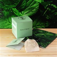 Ring Albero Della Vita 925 in Silver Diamante 0.03 Ct 7A-ADV - 7A-ADV